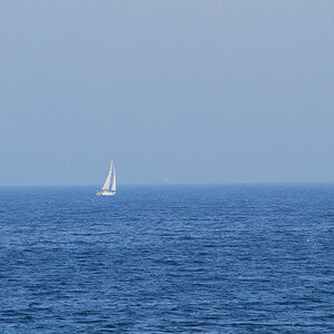 DSC 3733Ax