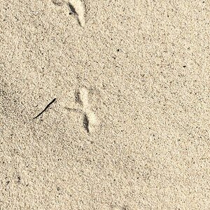 Spuren im Sand