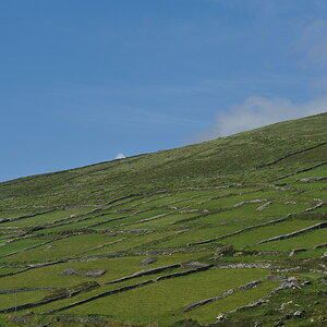 irland019