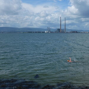 irland015