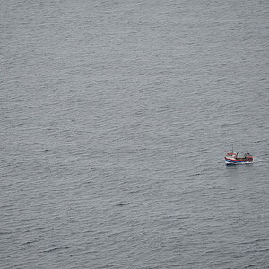 irland028