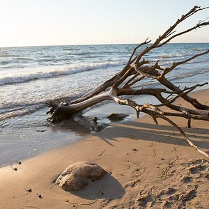 Strand Ahrenshoop
