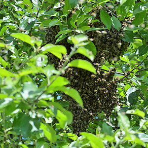 DSC 7204 DxO 9