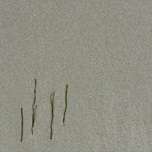 2014 05 31 13 51 05   Darßer Ort