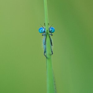 ...look into my eyes...