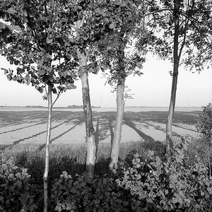 7800f7kodaktmax100wenndieschattensichlängen