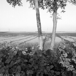 10800f7kodaktmax100wenndieschattensichlängen