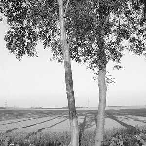 9800f7kodaktmax100wenndieschattensichlängen