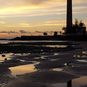 Faro