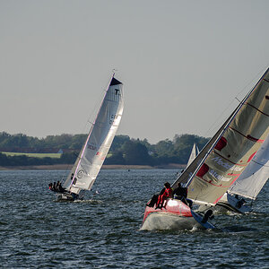 Regatta