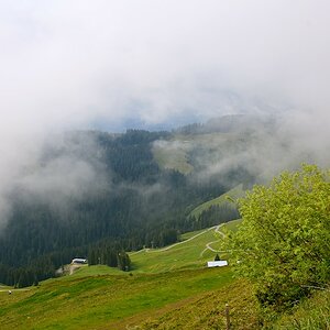 DSC 8367