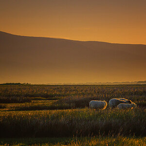 Glenbeigh - Sonnenaufgang hinterm Deich