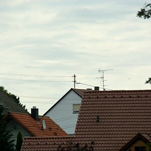 DSC 8543