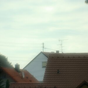 DSC 8544