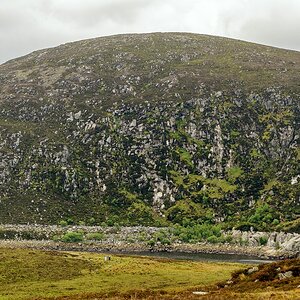 TZ DSC 5543