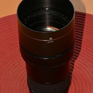DSC 8542