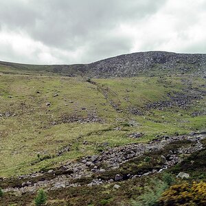 TZ DSC 5538
