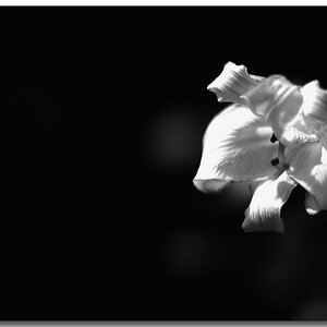 KR DSC 1108 1 sw