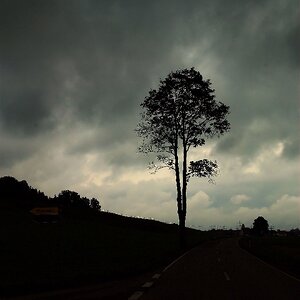 Gewitter über dem Oberallgäu