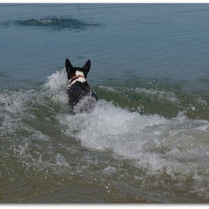 MNE 4920, 20140606
D800 70-200/2,8 II