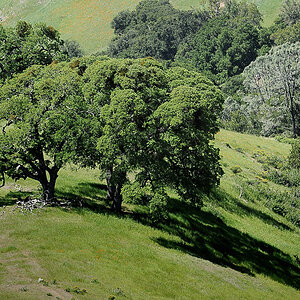 DSC 9548 Mt Diablo 1000 S