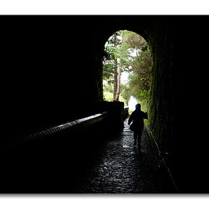 nff Levada1