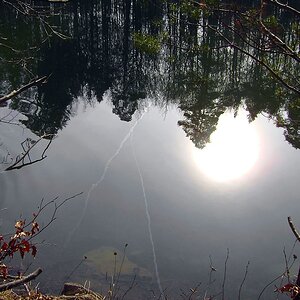 Spiegelungen