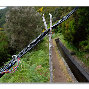 nff Levada2