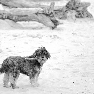 Nubo Ostsee