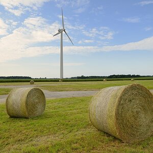 Landschaft zwischen Greifswald und Wolgast