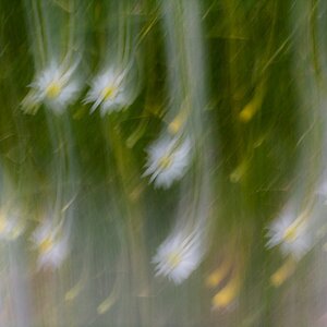 DSC 8674 01