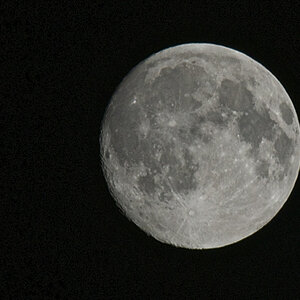 Mond