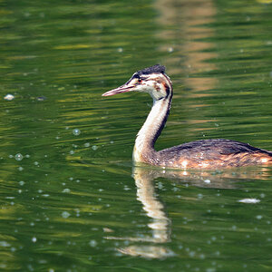 DSC 2158 khg