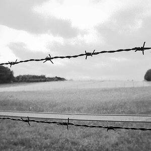 208800f6kodaktmax100zäune