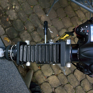 50mmDSC 5180