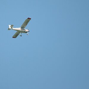 comp DSC 1925 bearbeitet