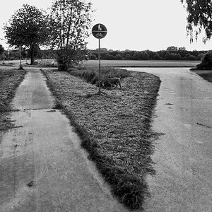46700f6kodaktmax100unentschlossenneub