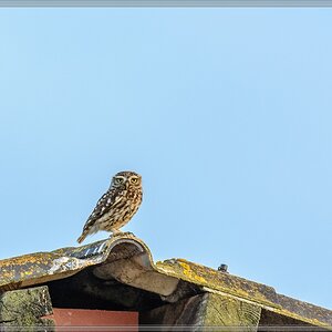 20140701 0251 [NIKON D7100] 400 mm,1 125 Sek. bei ƒ   5,6