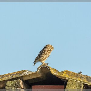 20140702 0361 [NIKON D7100] 400 mm,1 1600 Sek. bei ƒ   5,6