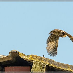 20140702 0365 [NIKON D7100] 400 mm,1 1600 Sek. bei ƒ   5,6