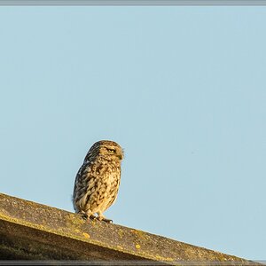 20140702 0379 [NIKON D7100] 400 mm,1 1000 Sek. bei ƒ   5,6