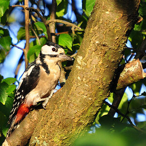 DSC 7296 khg