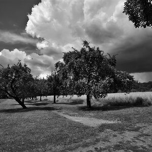 BRB OHV BotanischerGartenPankow DSC0049 140712 SW