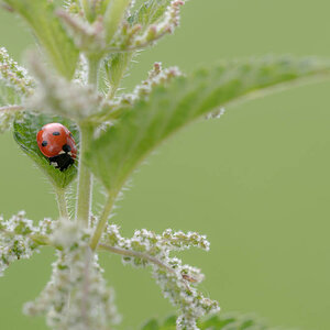Bild LR3 .14. Juni 2014. .DSC 5847