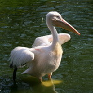tierpark hagenbeck 877099ed 62cc 4512 8efc d07a0eccbabc