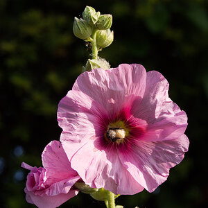 P7210216