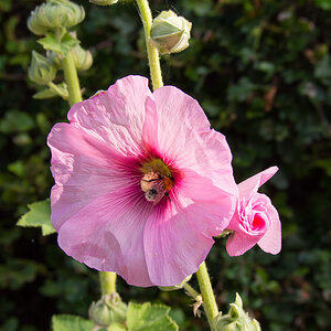 P7210207