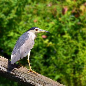 DSC 2151 khg