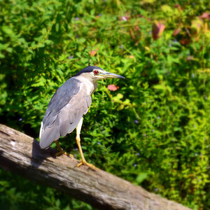 DSC 2151 a khg