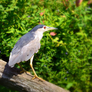 DSC 2152 khg
